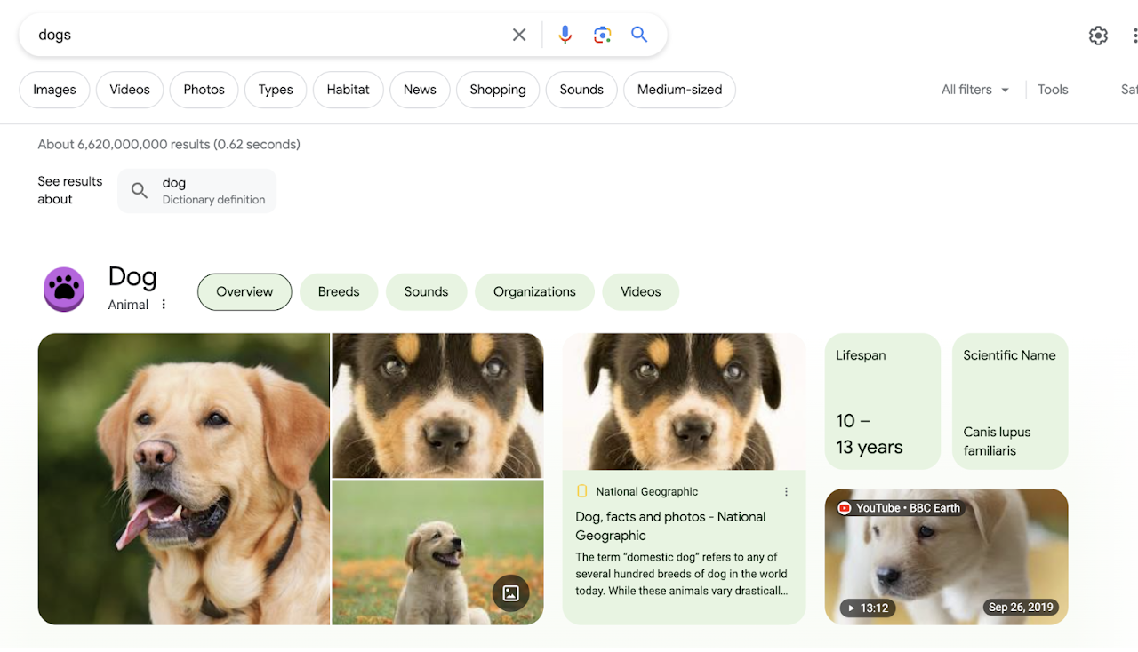 Search filters example